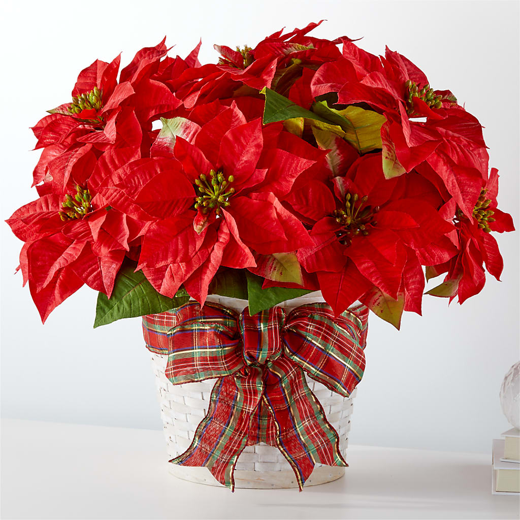 Happiest Holidays Poinsettia – Flowersusa.net, Tontitown AR