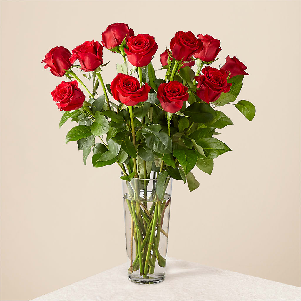 Long Stem Red Rose Bouquet – Flowersusa.net, Tontitown AR
