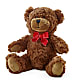 Adorable Plush Bear – Flowersusa.net, Tontitown AR