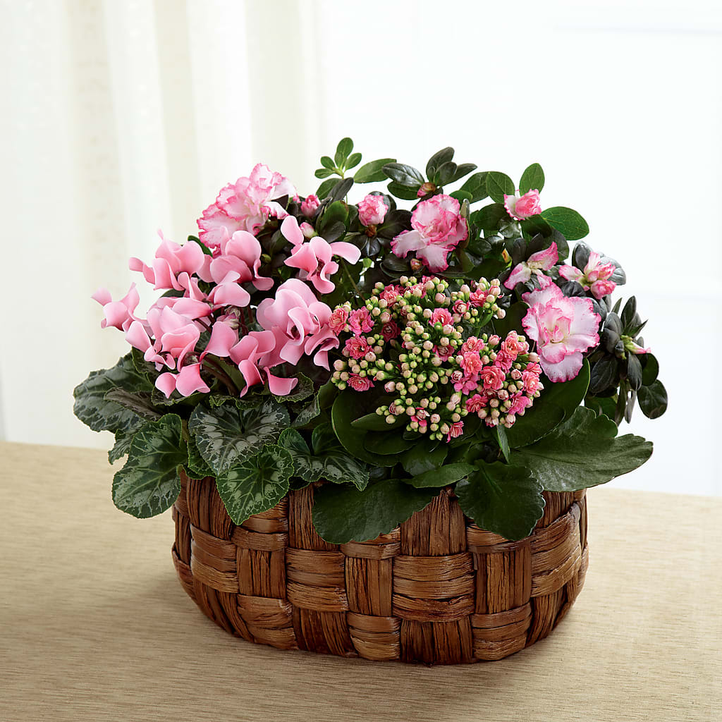 Pink Assortment – Flowersusa.net, Tontitown AR