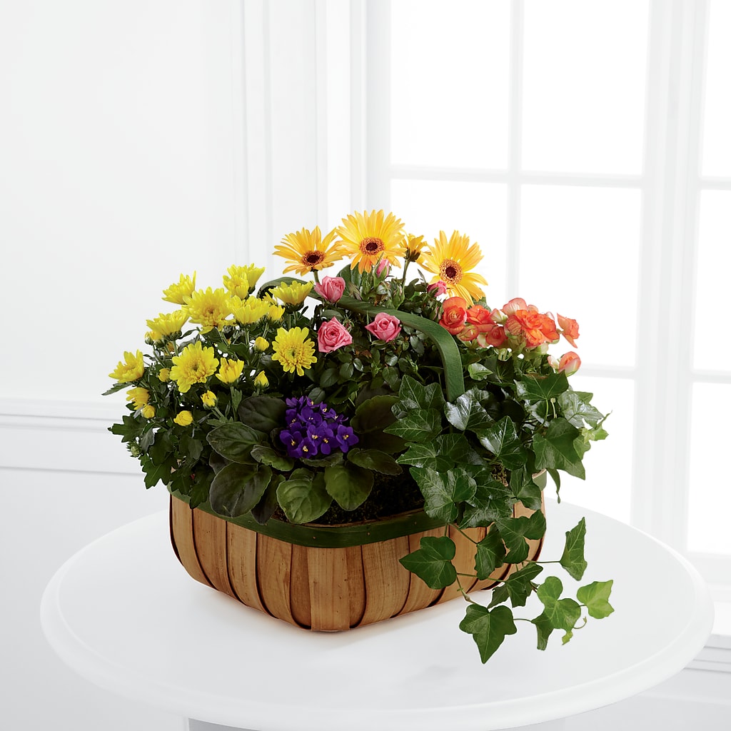 Gentle Blossoms Basket – Flowersusa.net, Tontitown AR
