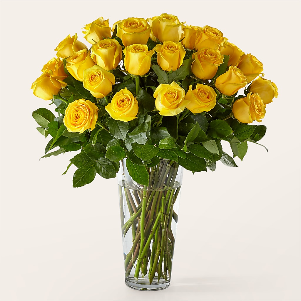 Long Stem Yellow Rose Bouquet – Flowersusa.net, Tontitown AR