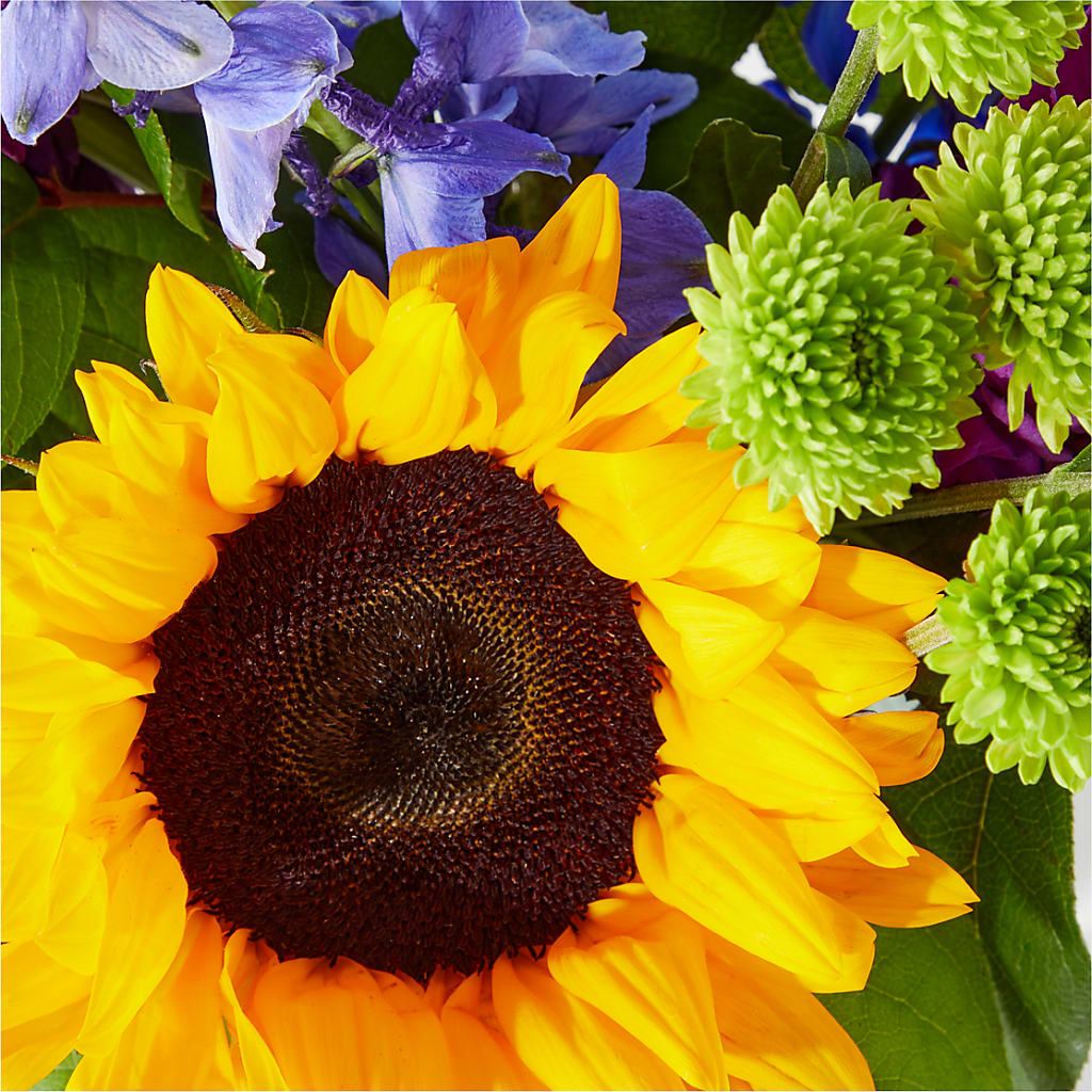 Catching Rays Bouquet – Flowersusa.net, Tontitown AR