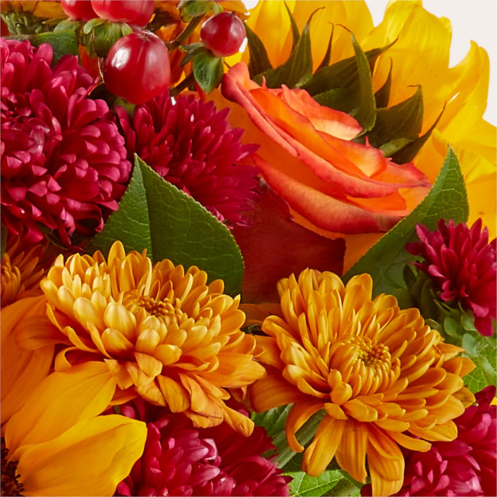 Sweater Season - A Florist Original – Flowersusa.net, Tontitown AR