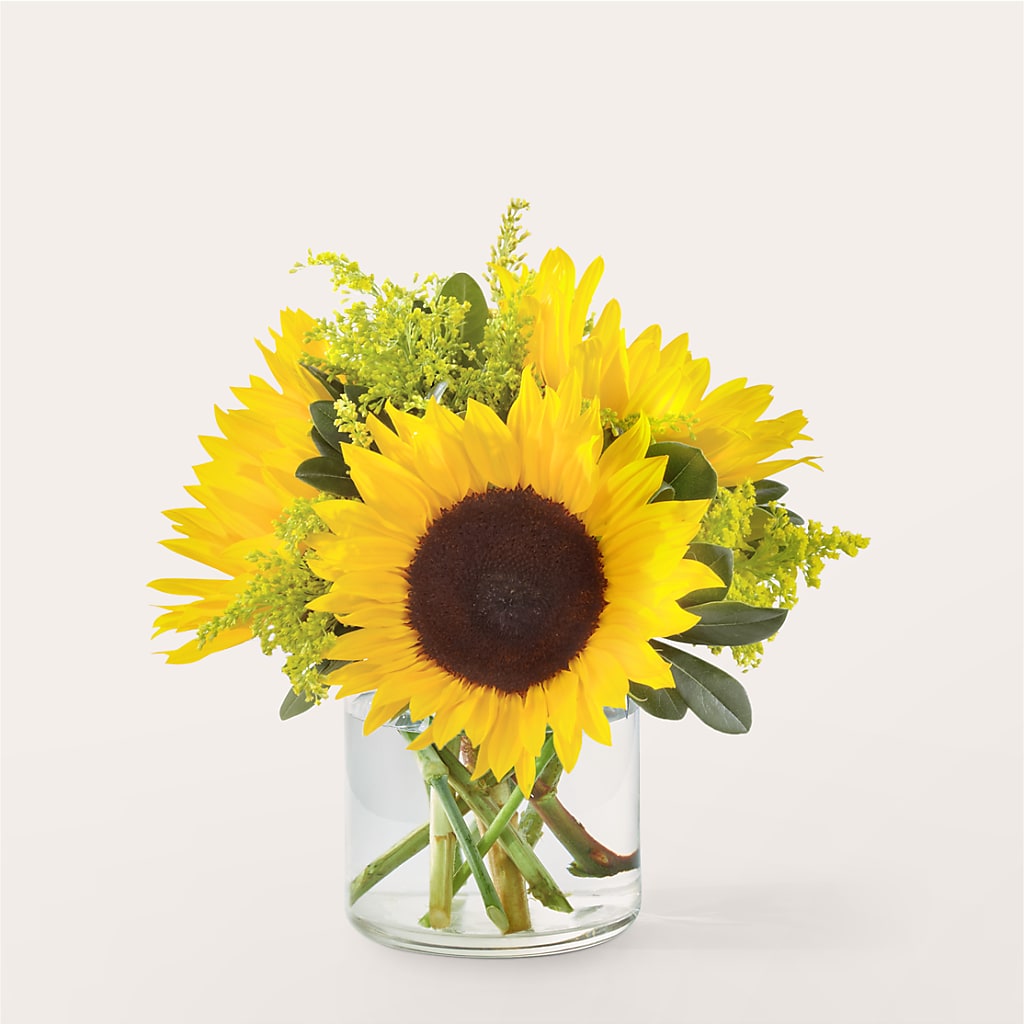 Beaming Sunflower Bouquet – Flowersusa.net, Tontitown AR