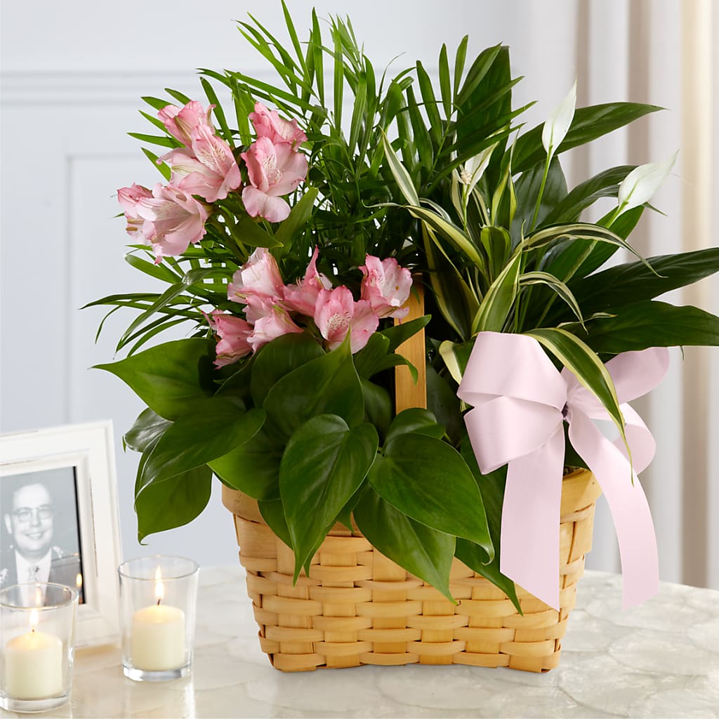 Living Spirit Dishgarden – Flowersusa.net, Tontitown AR