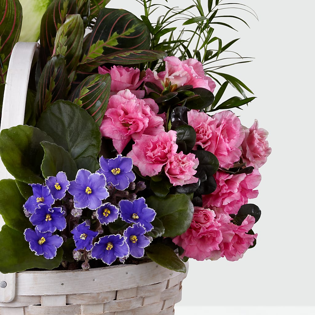 Peaceful Garden Planter – Flowersusa.net, Tontitown AR