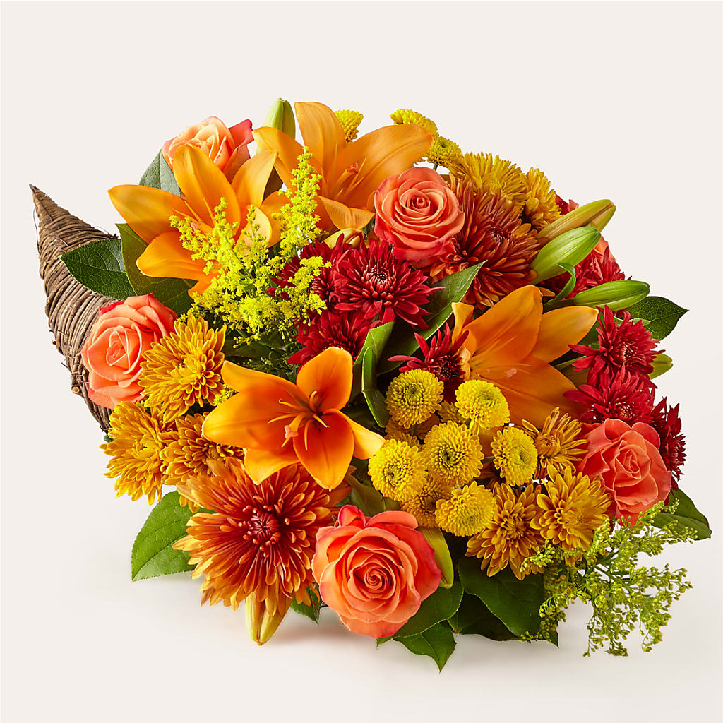 Feast of Color Cornucopia – Flowersusa.net, Tontitown AR