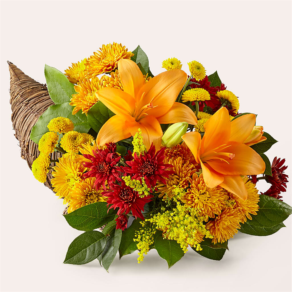 Feast of Color Cornucopia – Flowersusa.net, Tontitown AR