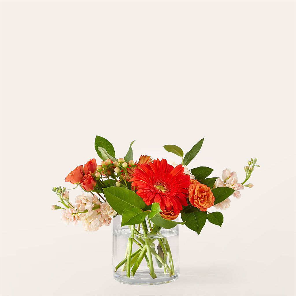 Paloma Please Bouquet – Flowersusa.net, Tontitown AR