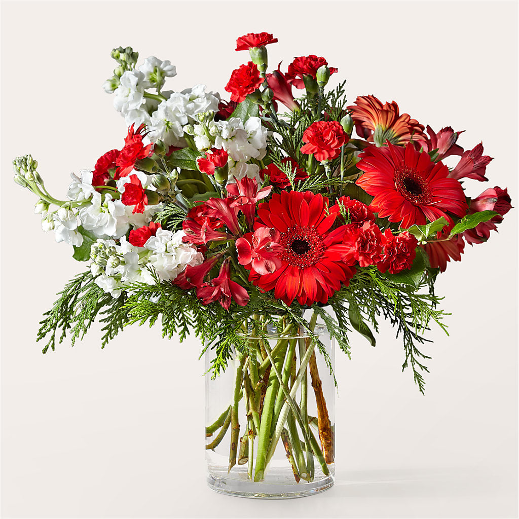 Holidaisy Bouquet – Flowersusa.net, Tontitown AR