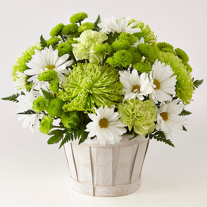 Lucky Charm Basket (Standard) –  Flowersusa.net, Tontitown AR