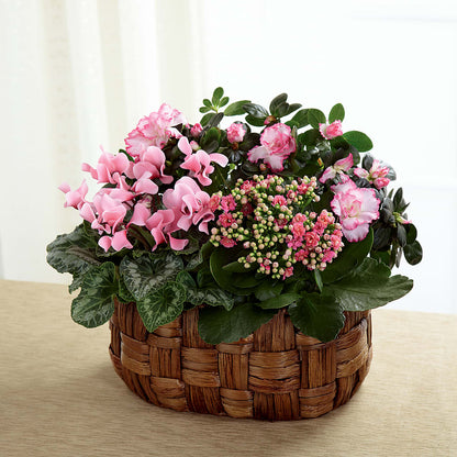 Pink Assortment –  Flowersusa.net, Tontitown AR