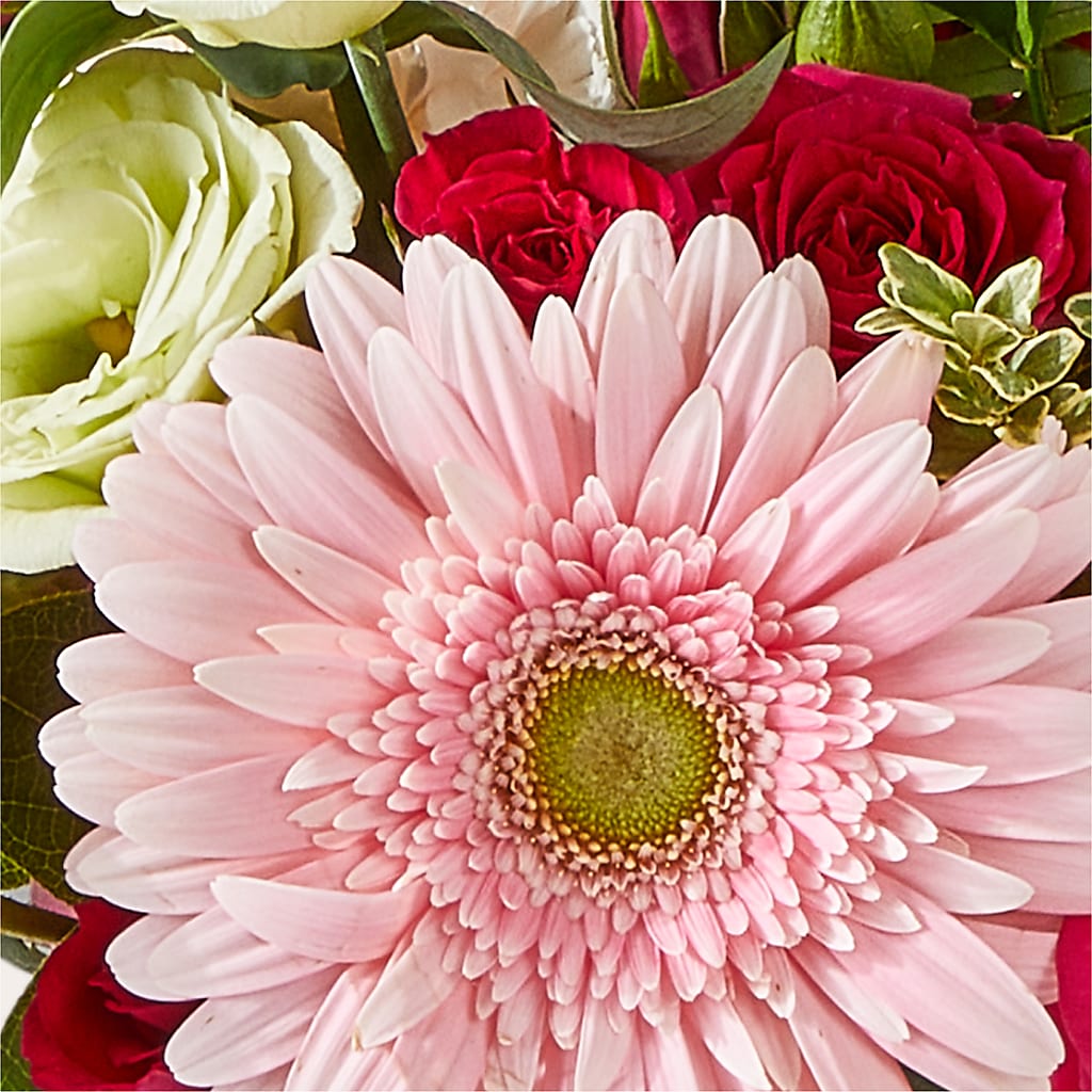 Too Cute Bouquet –  Flowersusa.net, Tontitown AR