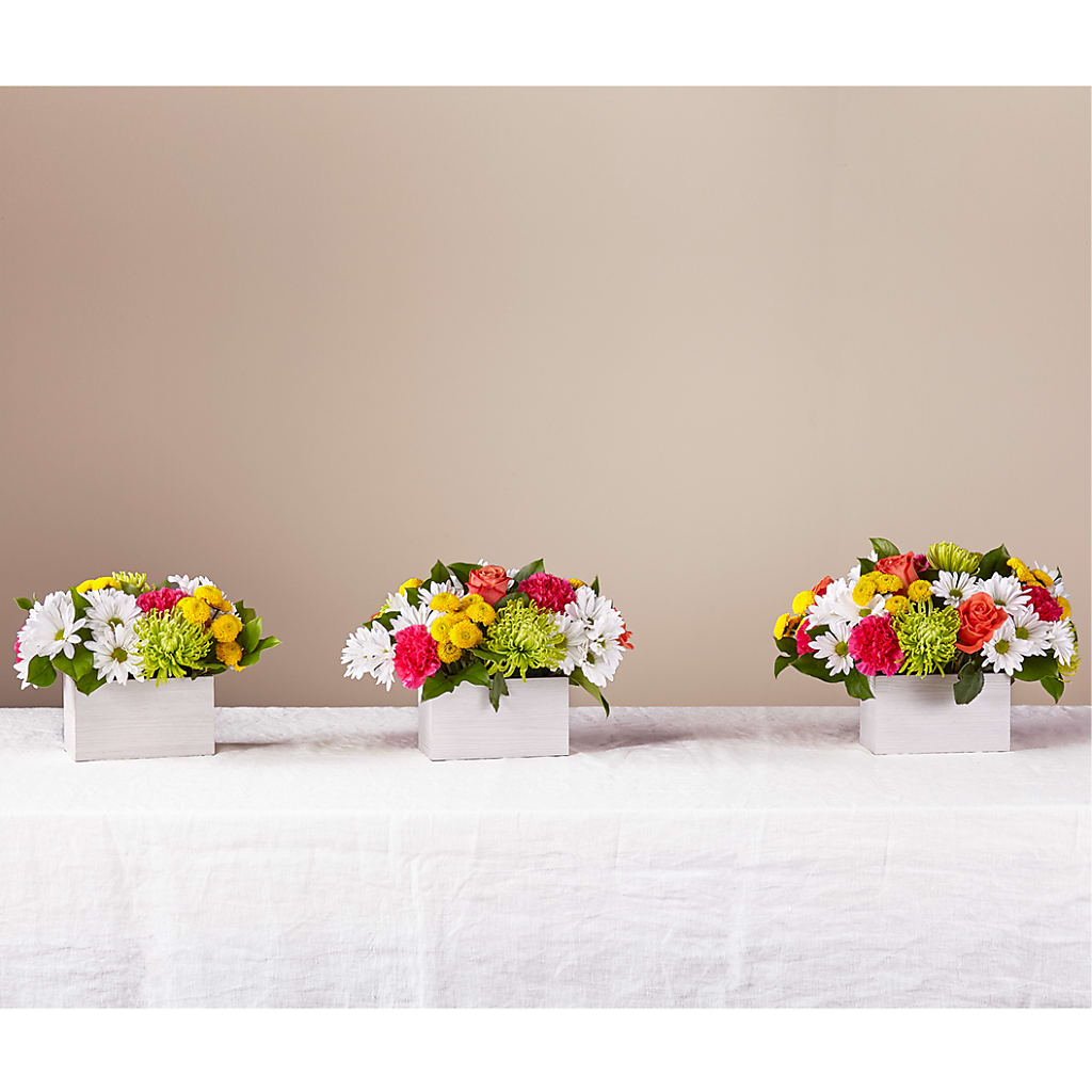 Sorbet Bouquet –  Flowersusa.net, Tontitown AR