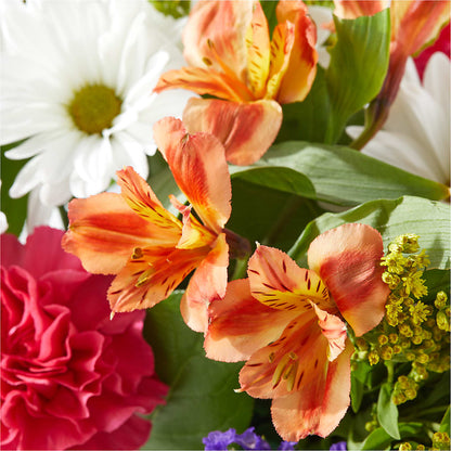 Oopsie Daisy Box Bouquet –  Flowersusa.net, Tontitown AR