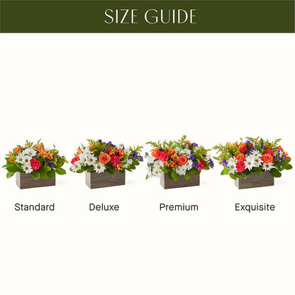 Oopsie Daisy Box Bouquet –  Flowersusa.net, Tontitown AR
