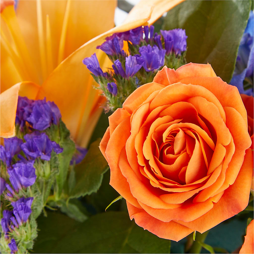 Radiant Citrus Box Bouquet –  Flowersusa.net, Tontitown AR