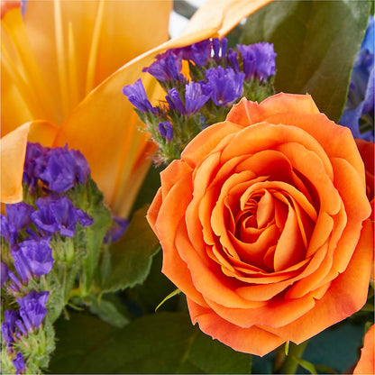 Radiant Citrus Box Bouquet –  Flowersusa.net, Tontitown AR