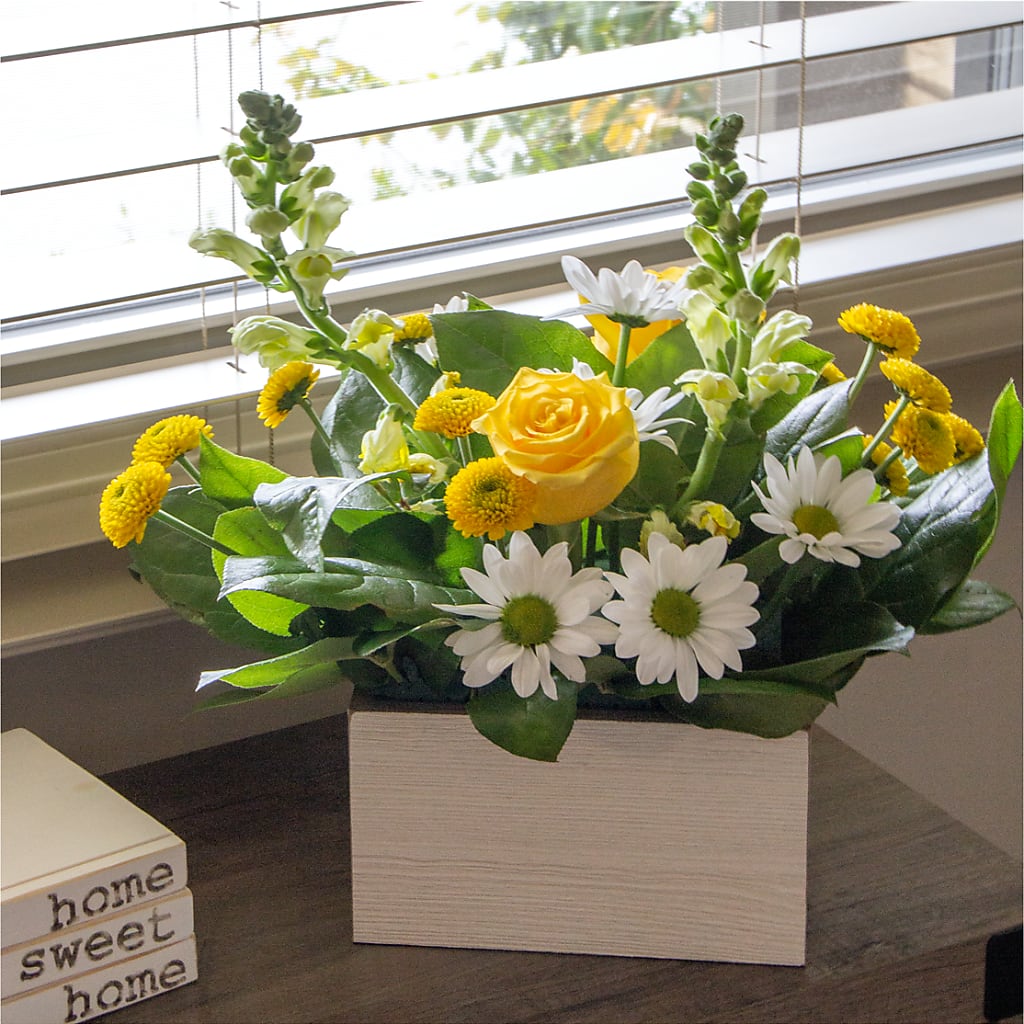 Sun Salutation Box Bouquet –  Flowersusa.net, Tontitown AR