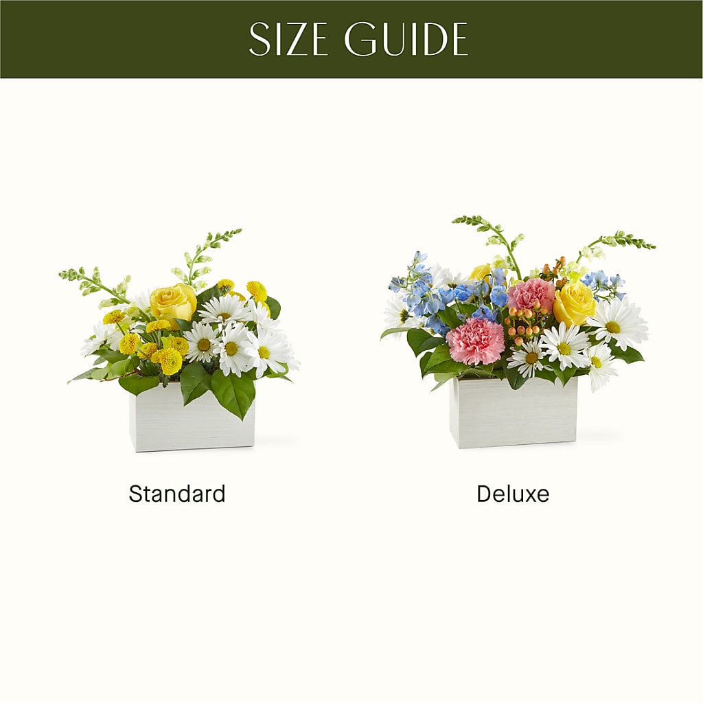 Sun Salutation Box Bouquet –  Flowersusa.net, Tontitown AR