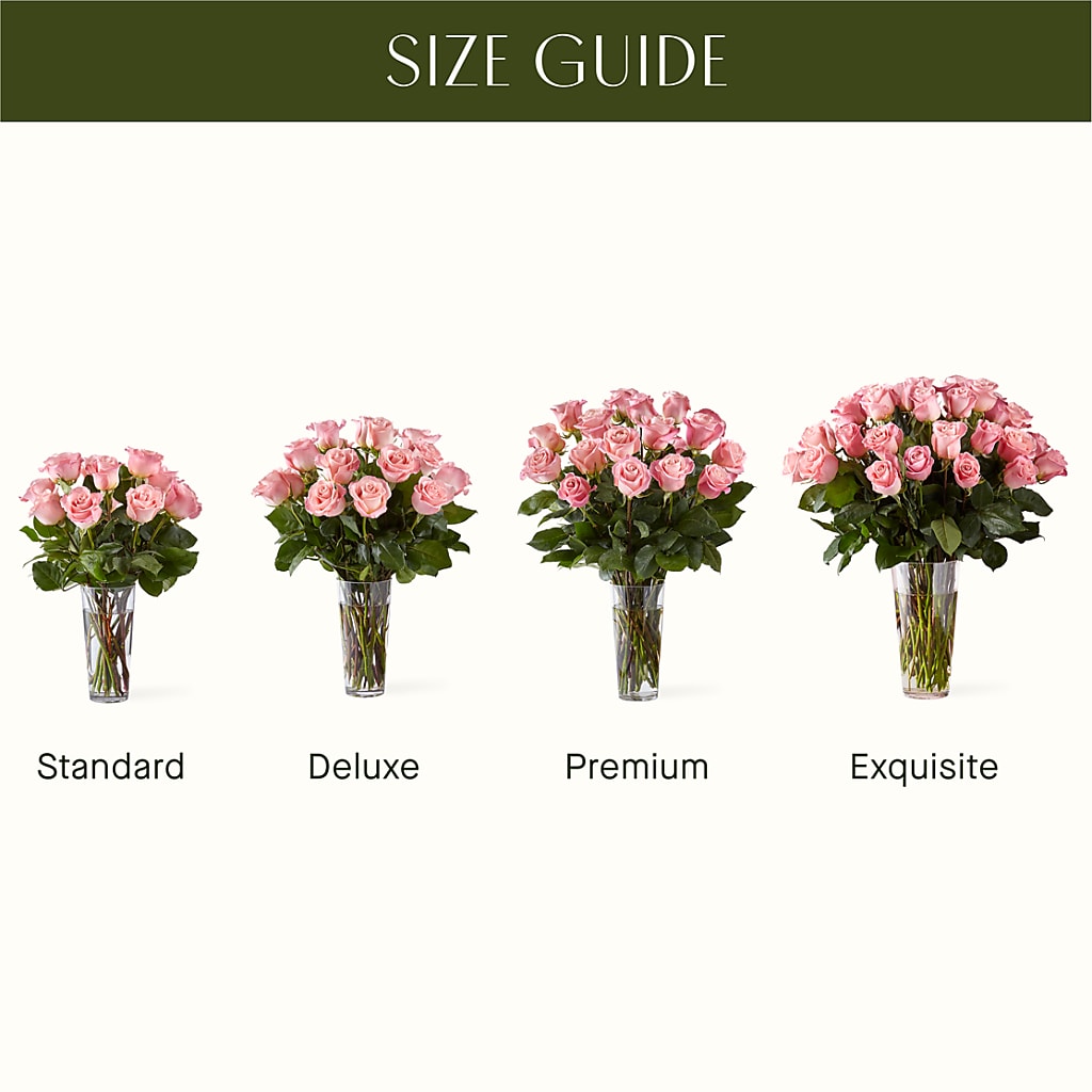 Long Stem Pink Rose Bouquet –  Flowersusa.net, Tontitown AR