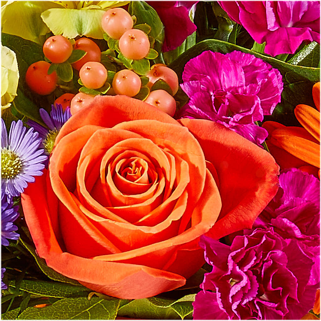 Tricks & Treats Pumpkin –  Flowersusa.net, Tontitown AR