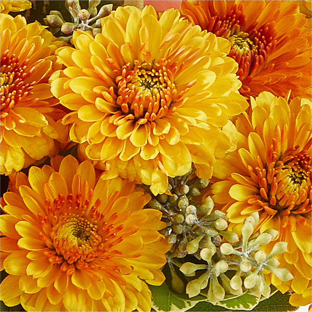 Peachy Pumpkin –  Flowersusa.net, Tontitown AR