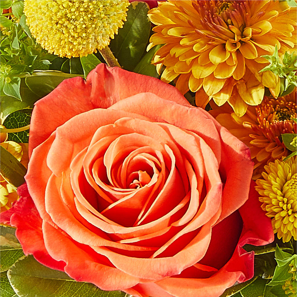 Gourdgeous Pumpkin –  Flowersusa.net, Tontitown AR