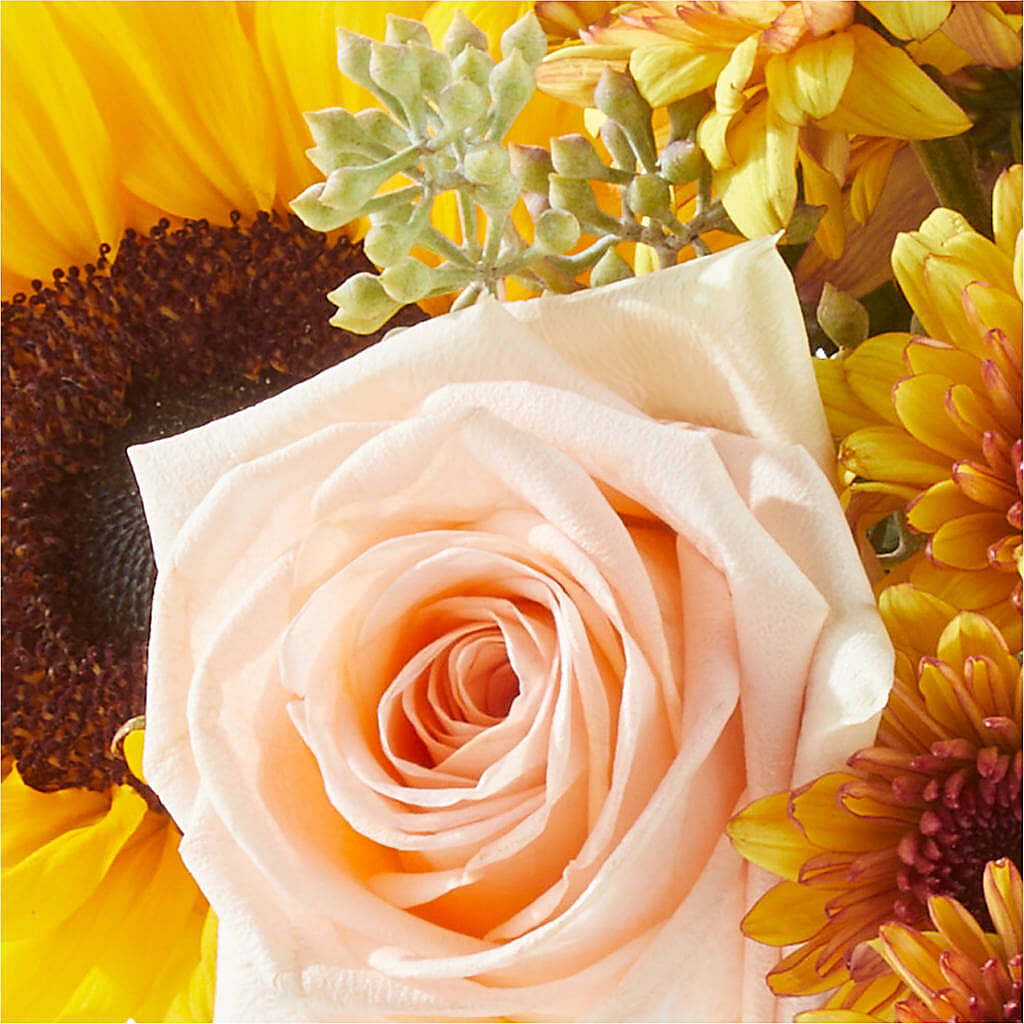 Pumpkin to Talk About Bouquet –  Flowersusa.net, Tontitown AR