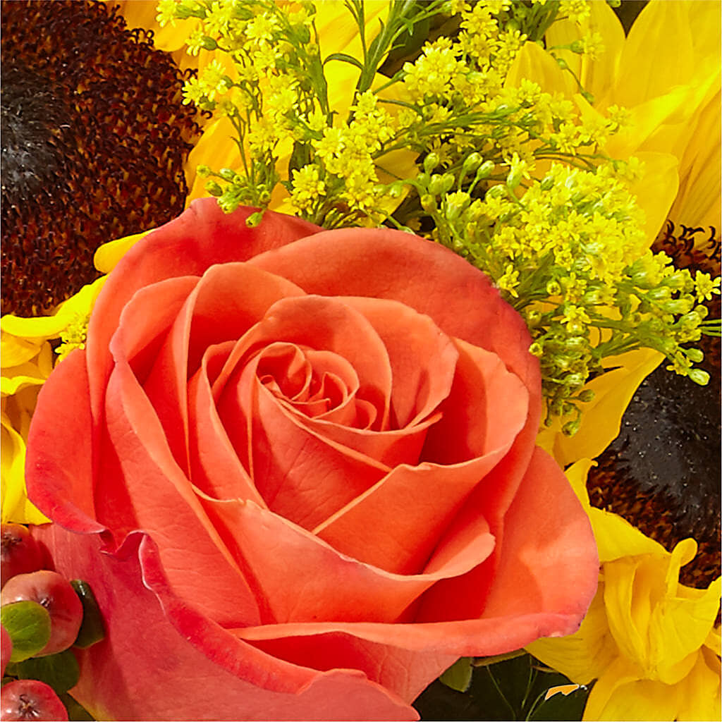 Pick of the Patch Pumpkin Bouquet –  Flowersusa.net, Tontitown AR