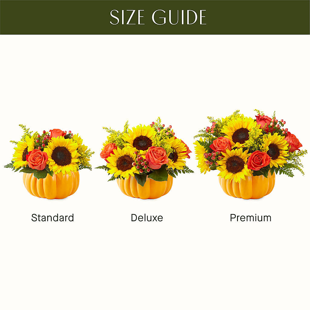 Pick of the Patch Pumpkin Bouquet –  Flowersusa.net, Tontitown AR