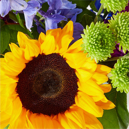 Catching Rays Bouquet –  Flowersusa.net, Tontitown AR