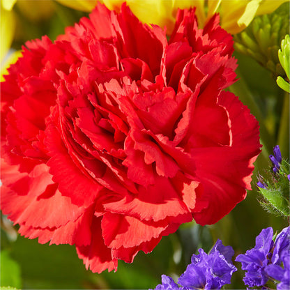 Brighter Days Bouquet –  Flowersusa.net, Tontitown AR