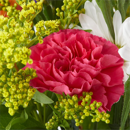 Oopsie Daisy Bouquet –  Flowersusa.net, Tontitown AR
