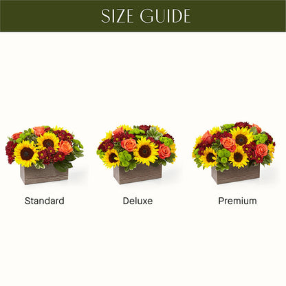 Happy Harvest Garden –  Flowersusa.net, Tontitown AR