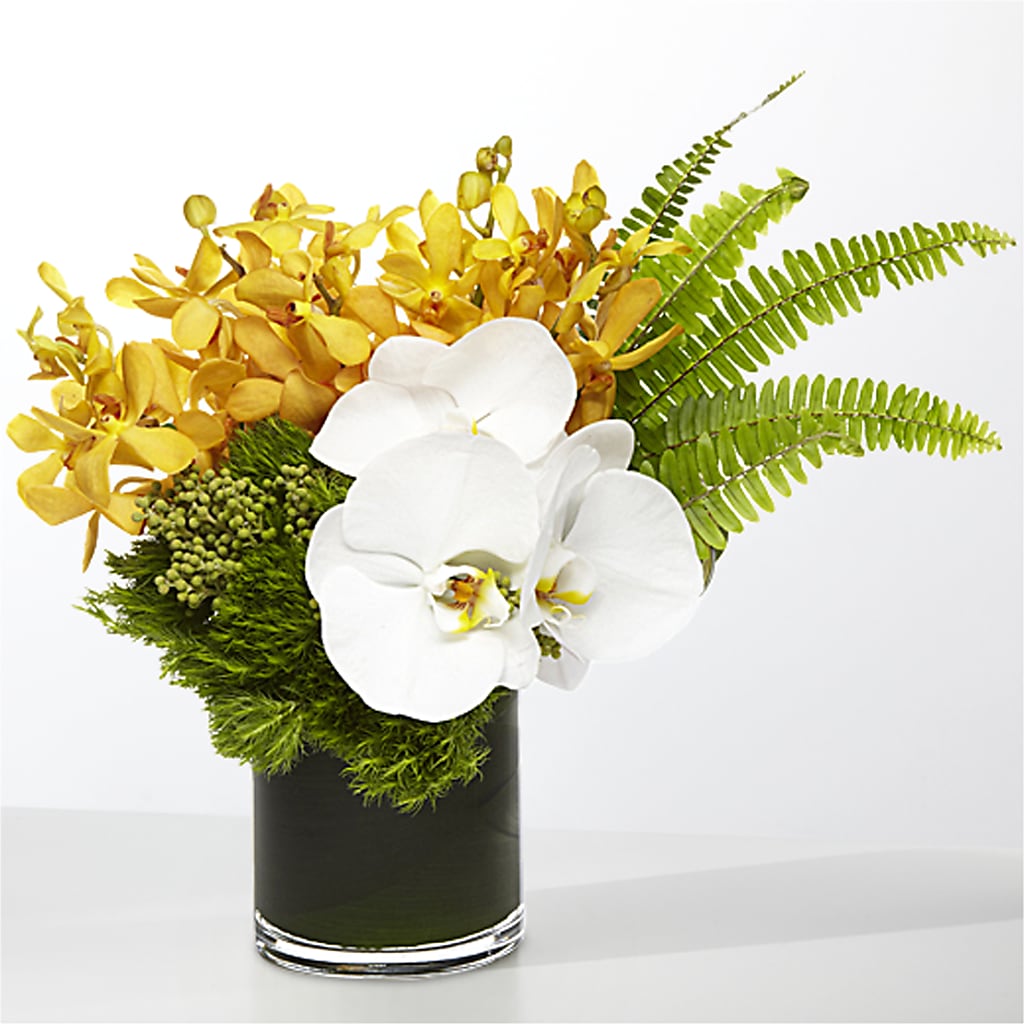 The Tropics –  Flowersusa.net, Tontitown AR