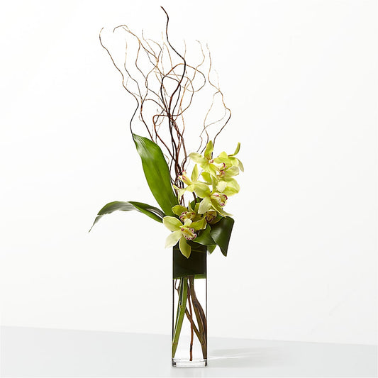 The Statement –  Flowersusa.net, Tontitown AR