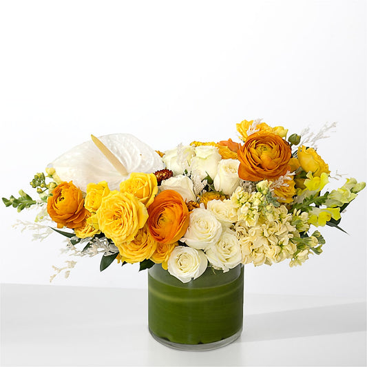 The Optimist –  Flowersusa.net, Tontitown AR