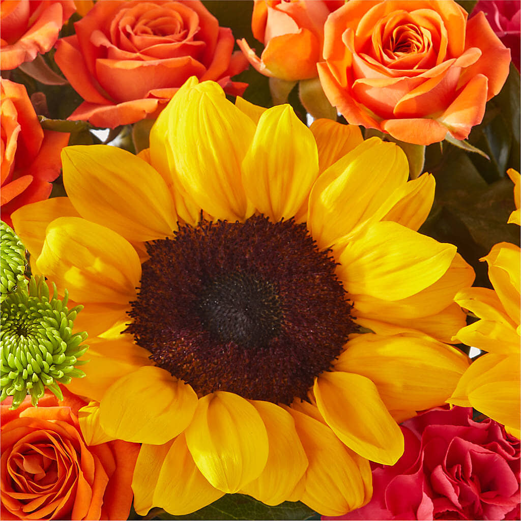 Sun-drenched Blooms Box Bouquet –  Flowersusa.net, Tontitown AR