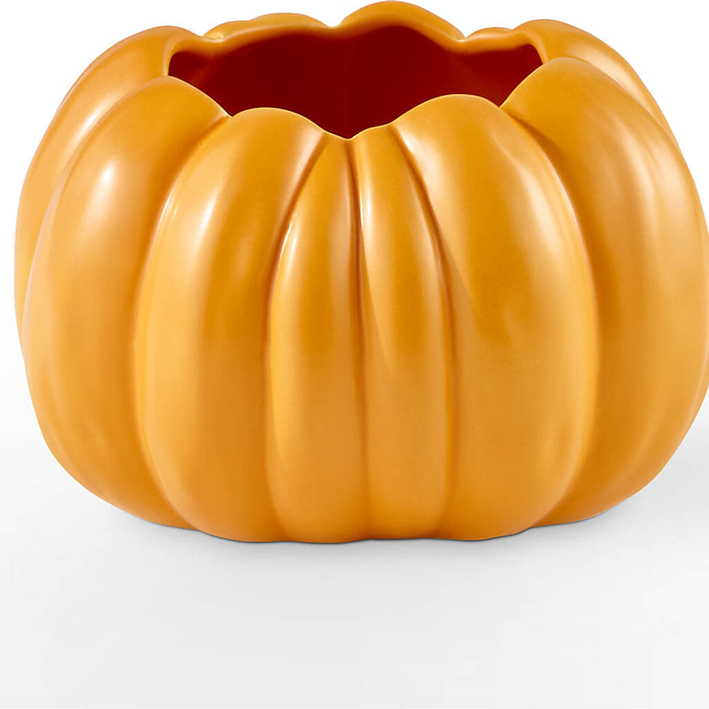 Golden Gourd Pumpkin Bouquet –  Flowersusa.net, Tontitown AR
