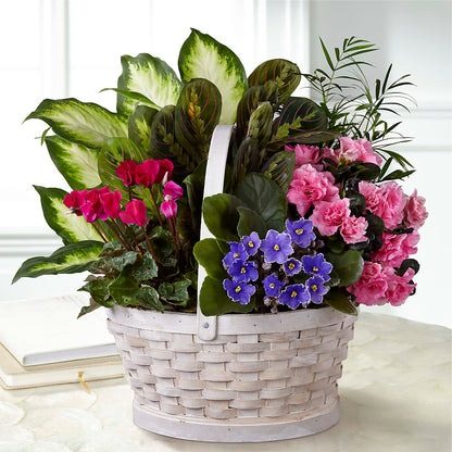Peaceful Garden Planter –  Flowersusa.net, Tontitown AR