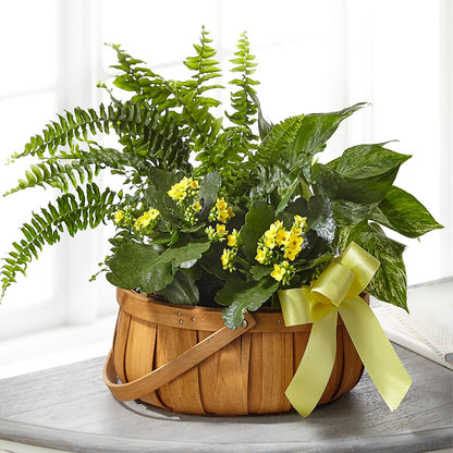 Always Dear Dishgarden –  Flowersusa.net, Tontitown AR