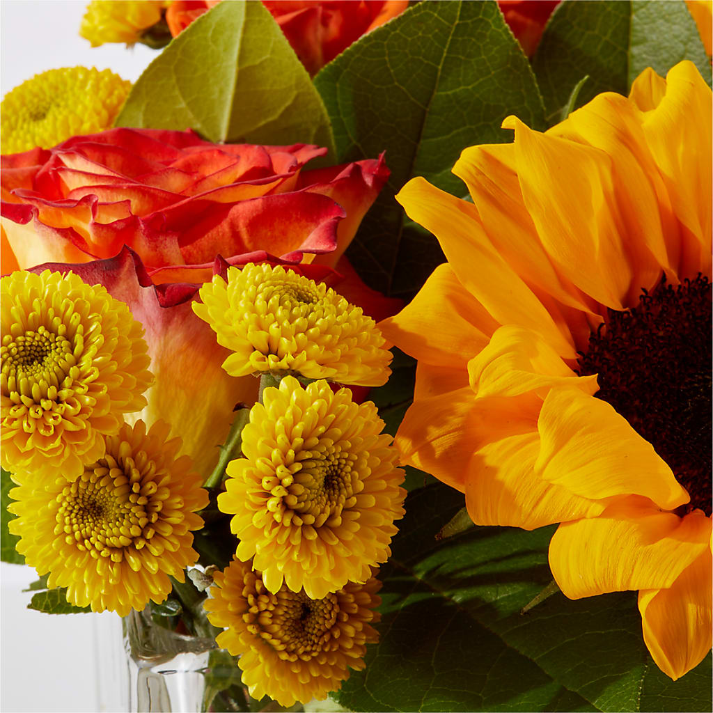 Picnic in the Park Bouquet –  Flowersusa.net, Tontitown AR