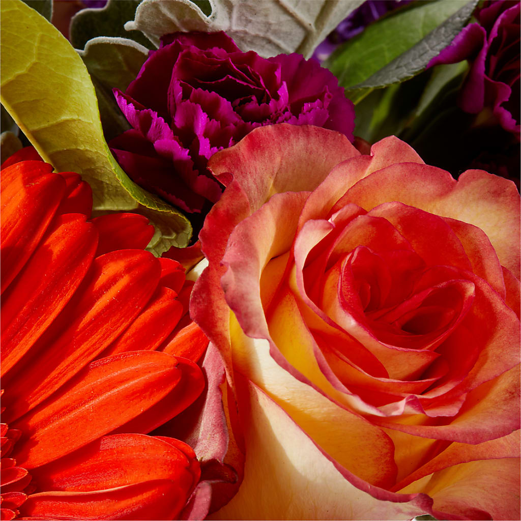 Sangria Bouquet –  Flowersusa.net, Tontitown AR