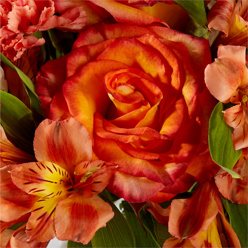 Apricot Glow Bouquet –  Flowersusa.net, Tontitown AR