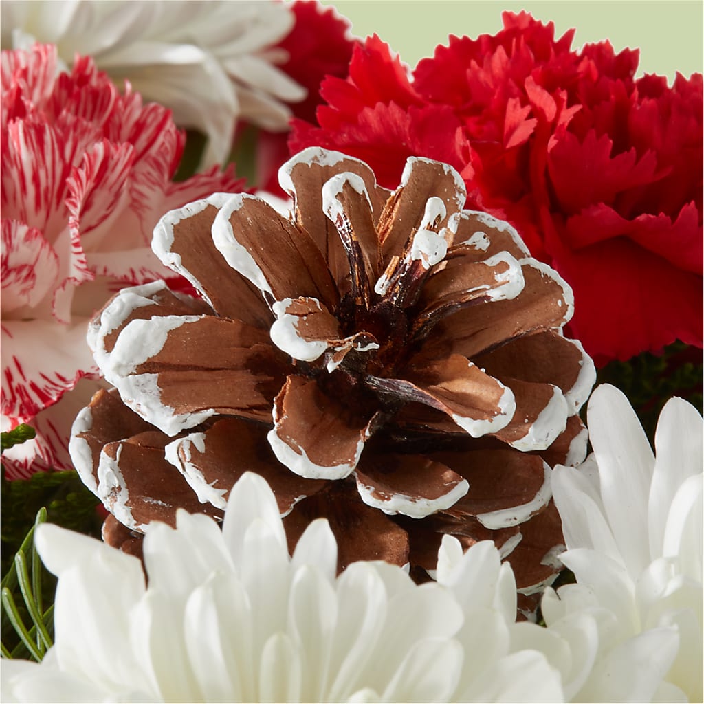 Candy Cane Lane Bouquet –  Flowersusa.net, Tontitown AR