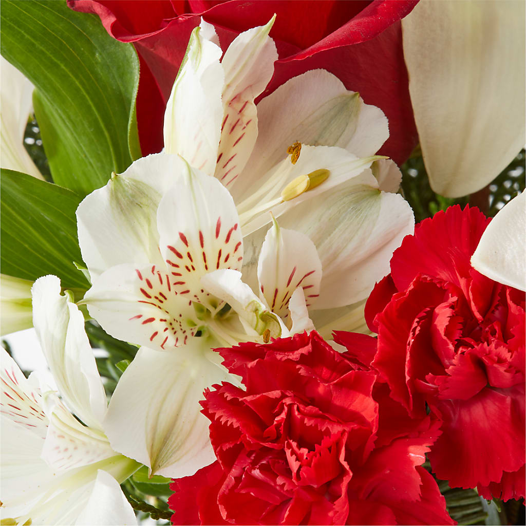 Holiday Season Bouquet –  Flowersusa.net, Tontitown AR