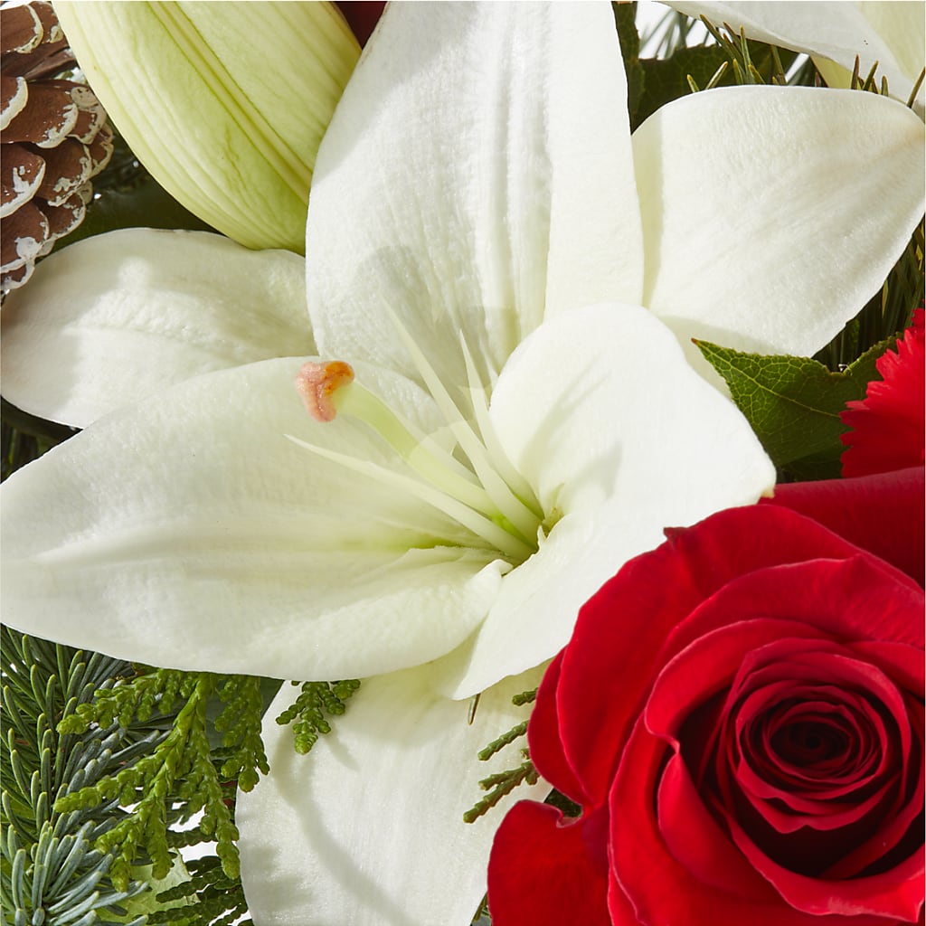 Oh So Jolly Bouquet –  Flowersusa.net, Tontitown AR