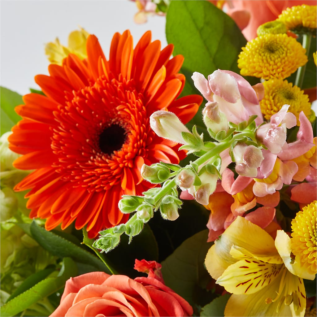 Autumn Sunshine Bouquet –  Flowersusa.net, Tontitown AR